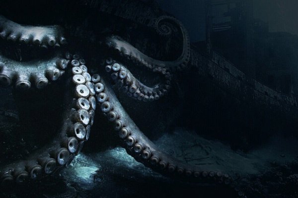 Kraken url